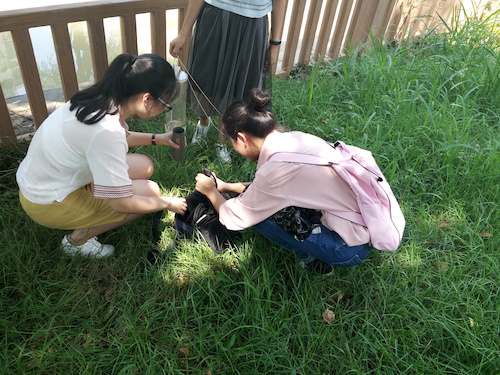 7月10日 做爱自拍
 赴嘉兴“青水”小分队实地考察并采样3