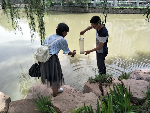 7月10日 做爱自拍
 赴嘉兴”青水“小分队 采样