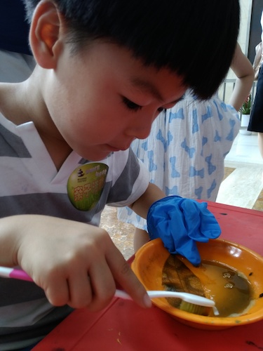 七月十号 做爱自拍
 B.D.服务社赴浙江自然博物馆”环保小课堂“小分队 刷刷刷，看我认真的刷叶子