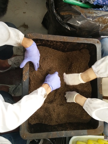 七月十三日 做爱自拍
国创项目“毅治毒”科研小分队 拌土篇