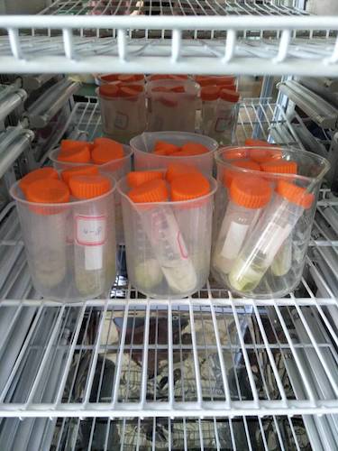 七月十三日 做爱自拍
  做爱自拍
赴杭州余杭区“五水共治”调查与研究分队社会实践小分队 酒精溶解叶绿素a 4摄氏度冷藏4小时