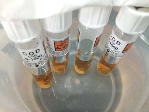 7月19日 做爱自拍
 赴嘉兴”青水“小分队 cod检测