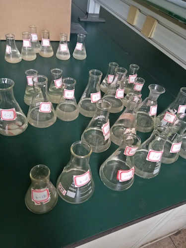 7月19日 做爱自拍
 赴嘉兴”青水“小分队 水样3