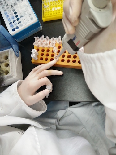 七月十九日 做爱自拍
国创项目“毅治毒”科研小分队 PCR母液的配制