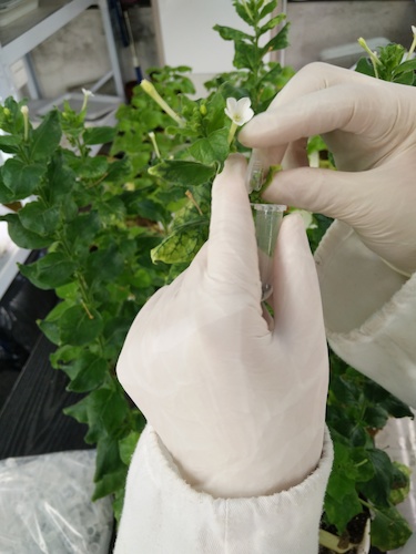 七月二十日 做爱自拍
国创项目“毅治毒”科研小分队 采样