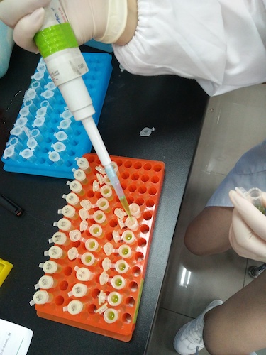 七月二十日 做爱自拍
国创项目“毅治毒”科研小分队 样品粉碎后转移至过滤柱