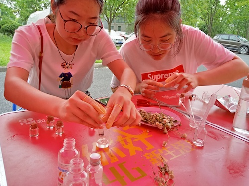用心做植物琥珀