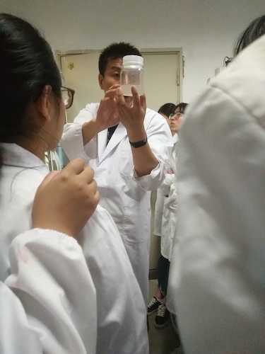 七月二日 做爱自拍
 “走进转基因”社会实践小分队 张弦老师介绍深层培养基