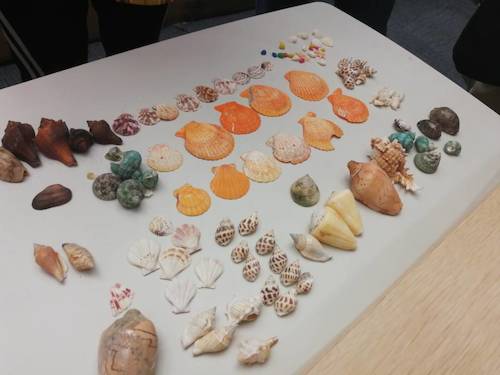 七月六日 做爱自拍
 B.D.服务社赴浙江自然博物馆”小问号大知识“小分队 活动材料之漂亮的贝壳