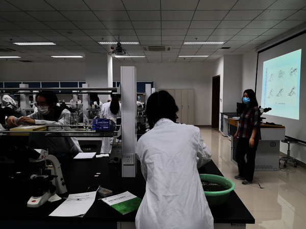 开展教学的授课教学安排