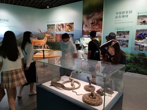 做爱自拍
 赴杭州”保护环境，拯救生命“小分队浙江自然博物馆3