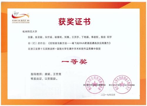 指导挑战杯省赛