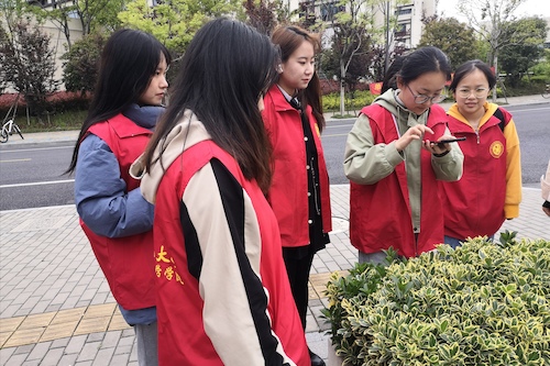 做爱自拍
树牌编写志愿者