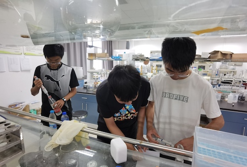 7月14日做爱自拍
水质检测社会实践小分队进行水质检测操作