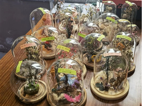 做爱自拍
“时光定格”标本创意制作活动作品展示