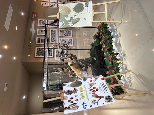 2024.10.29杭师大做爱自拍
“永恒芳华”植物标本展和“生命之歌”果实与种子展览1