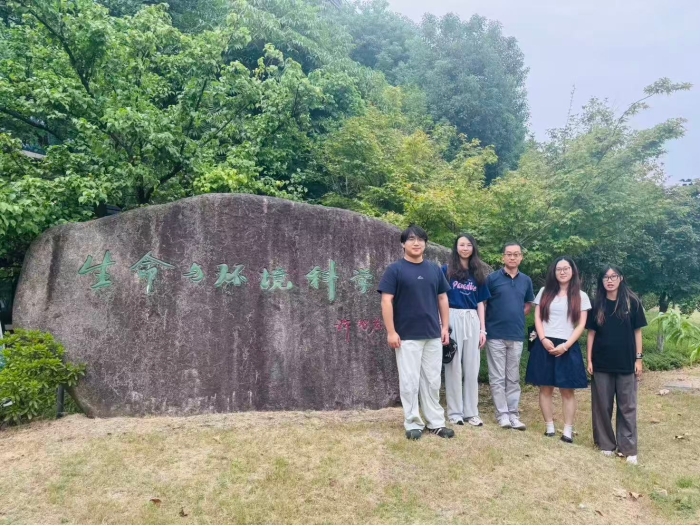 图片1茹横